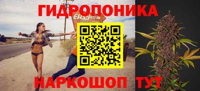 шишки Туймазы