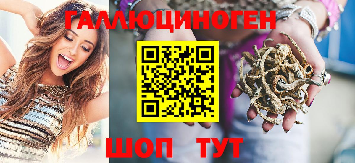 Кострома  Псилоцибиновые грибы Cubensis  Вход с VPN 