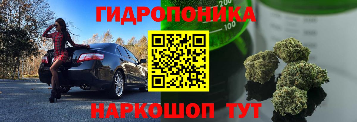 Шишки марихуана марихуана Кострома